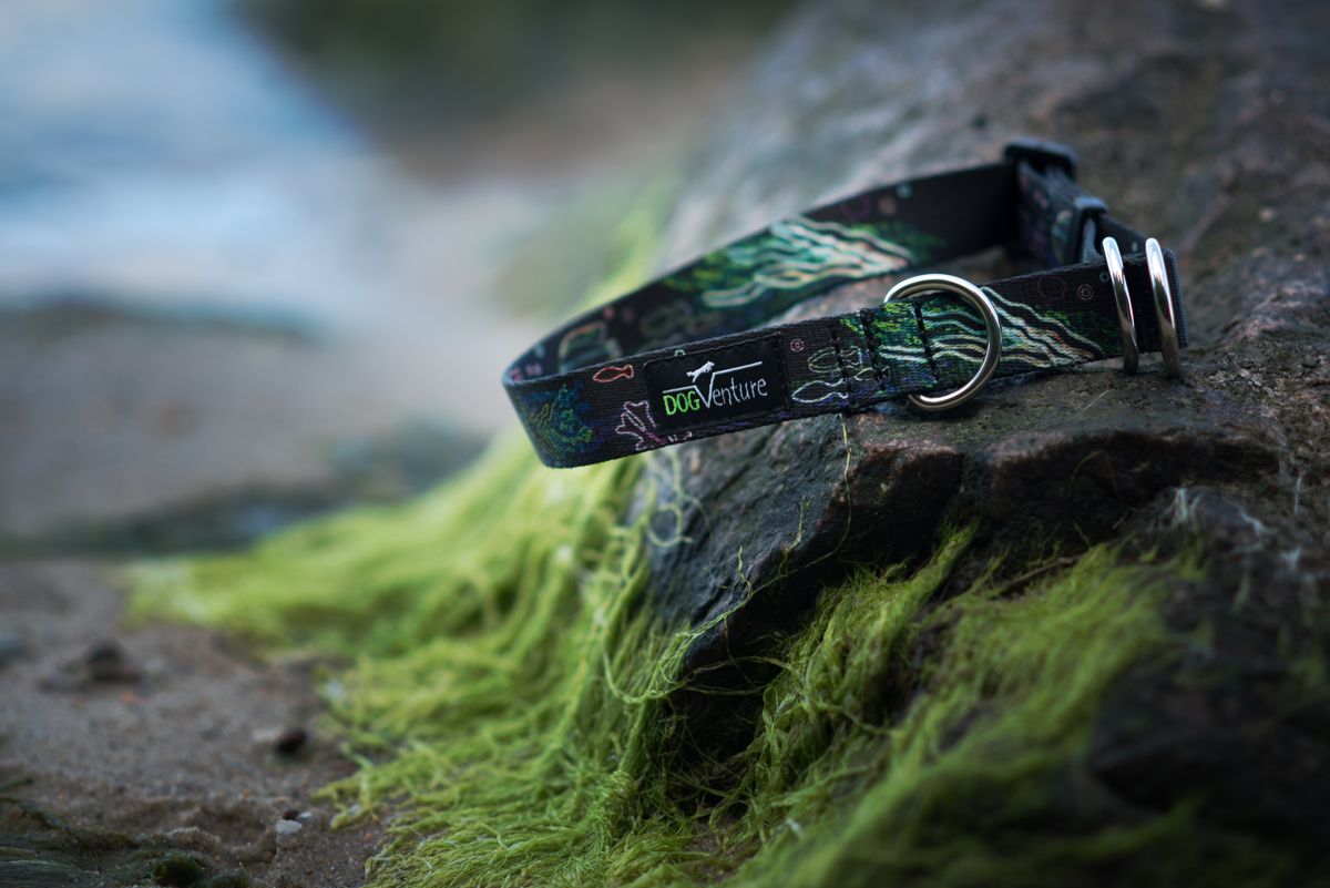 Obroża dla psa Be For Ocean