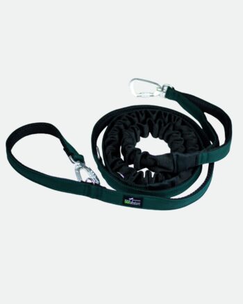 Smycz przepinana z amortyzatorem