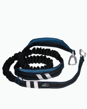 Smycz z amortyzatorem 15-70 kg