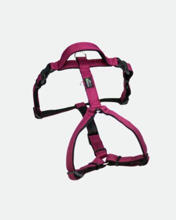 Szelki Guard z rączką