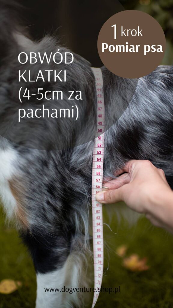 Jak zmierzyć psa do szelek guard