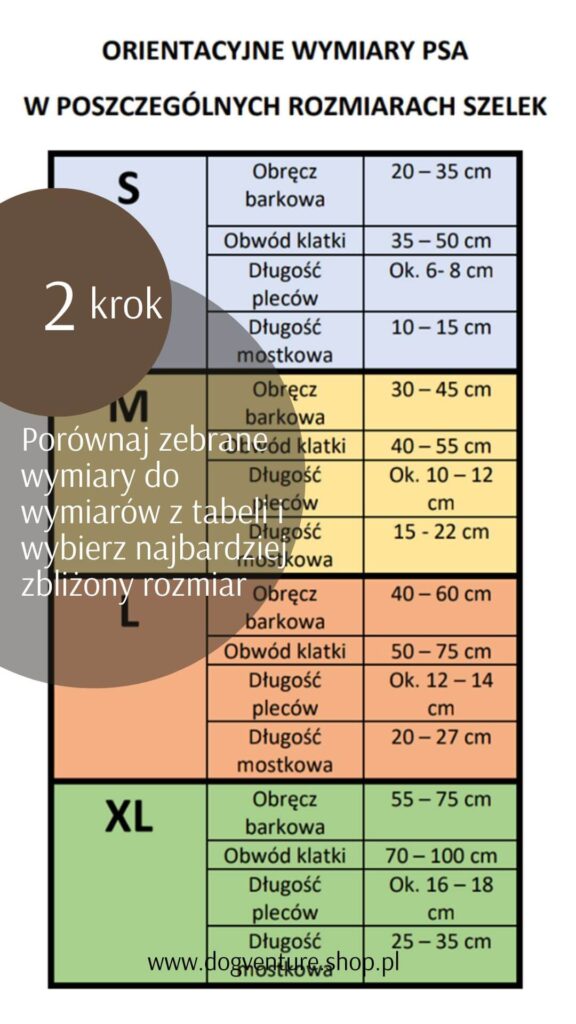 Jak zmierzyć psa do szelek guard