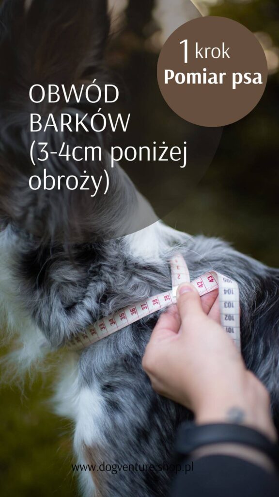 Jak zmierzyć psa do szelek guard