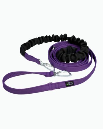 Smycz przepinana z amortyzatorem Nova Series 15-50 kg