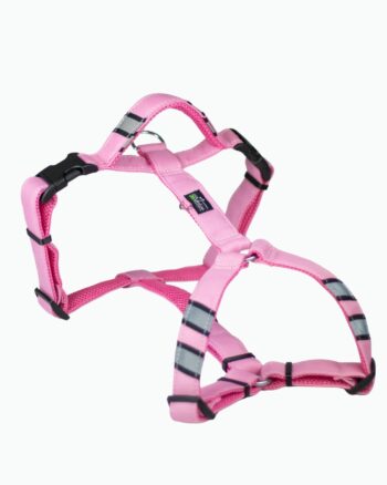 Szelki Guard Adventure