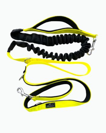 Smycz przepinana z amortyzatorem Extreme 15-50 kg