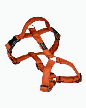 Szelki Guard Nova Series